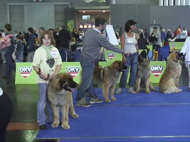 Salzburg Clubschau Mai 06 050 